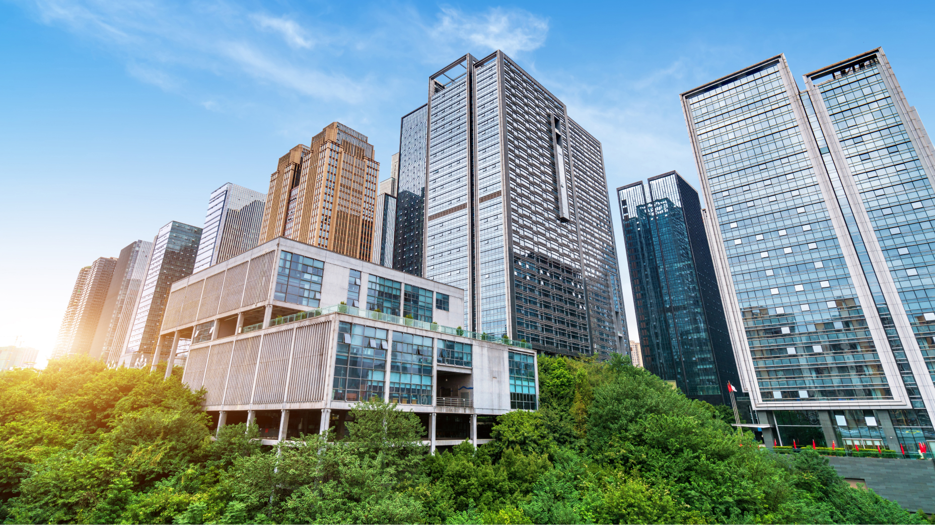 Top Real Estate Companies in New York