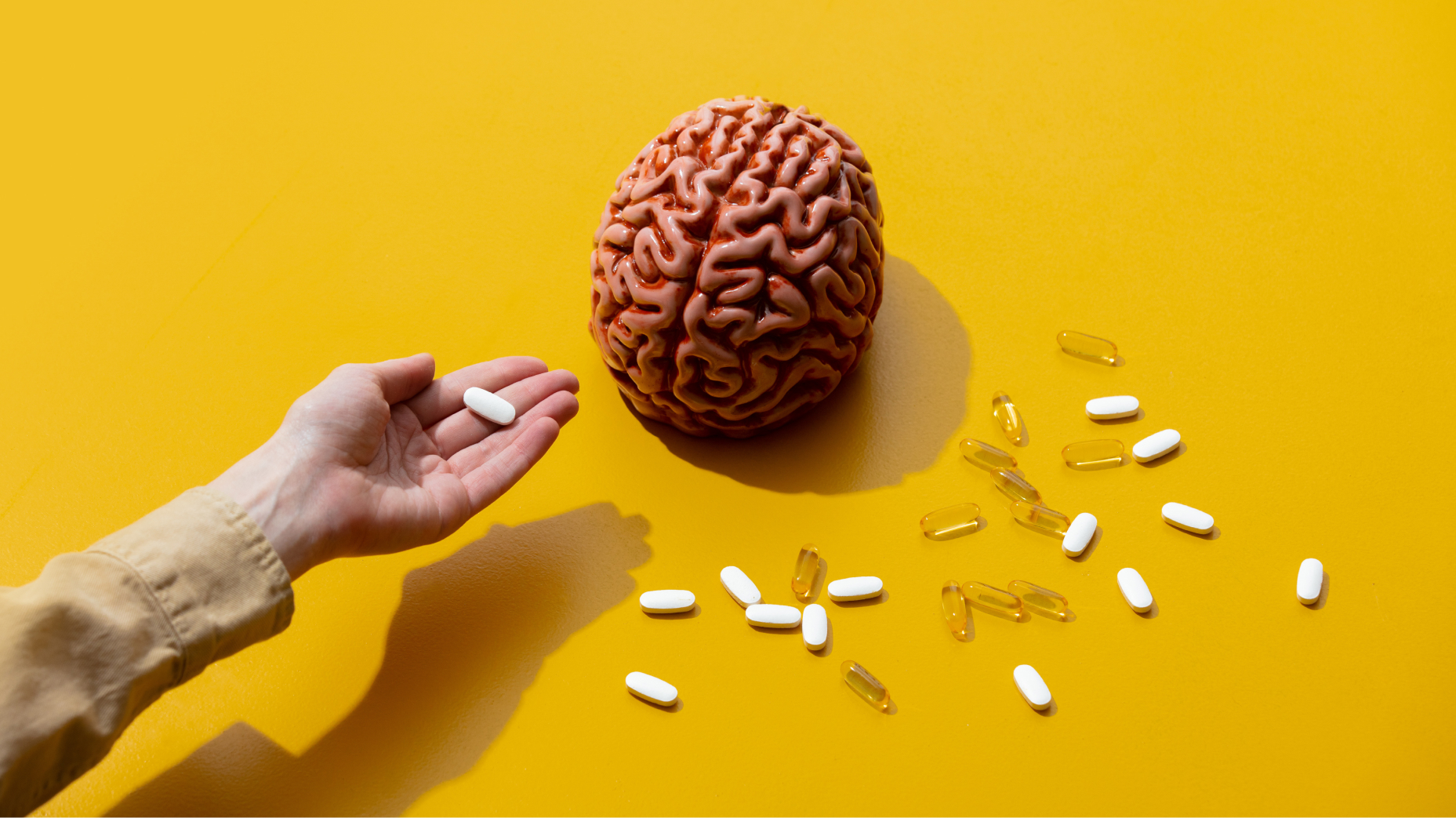 Top 5 Nootropics to Boost Brain Health