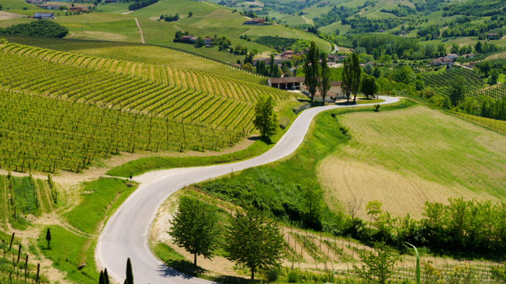 Alsace Wine Route
